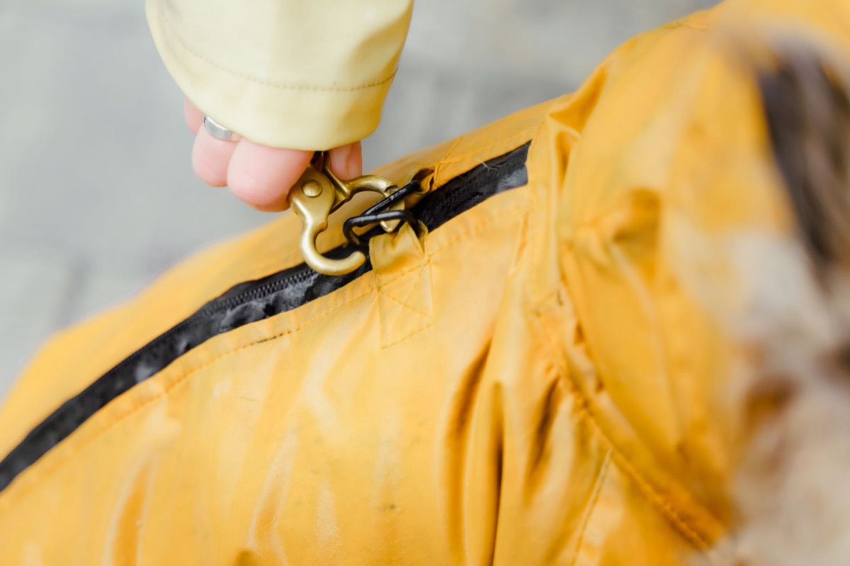 Detalle de las correas ergonómicas y el acolchado de una mochila moderna.