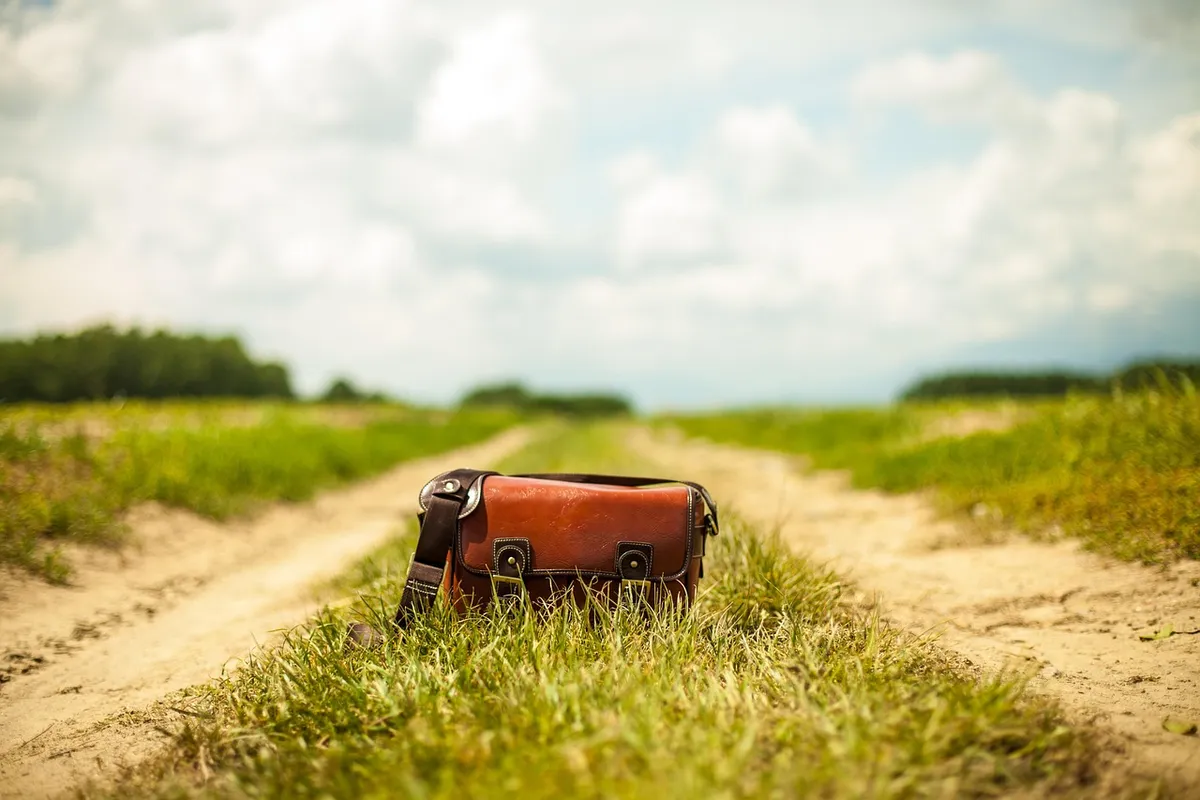 handbag, purse, bag, country lane, landscape, nature, vintage, leather, retro, leather bag, fashion, outdoors, handbag, handbag, purse, bag, bag, bag, bag, bag,
