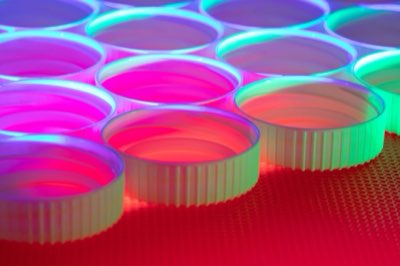 Materiali bio: guide per l'innovazione nel settore della moda