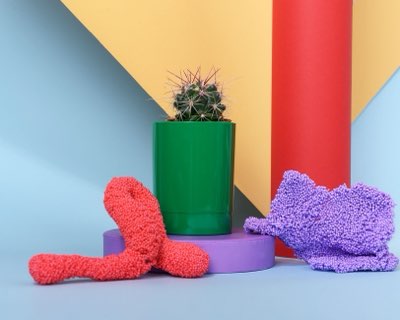 Cactusleer: De beste 10 jaar duurzaam design ontdekken